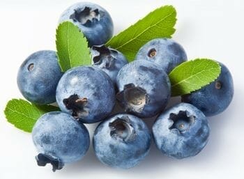 Blauwe bosbesvrucht