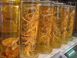 Russische Ginseng