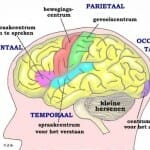 Wat te doen tegen toevallen