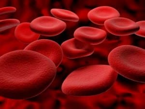 bloedplaatjes bloedplaatjes