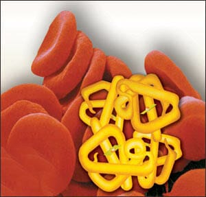 hemoglobine