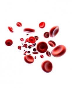 multipel myeloom