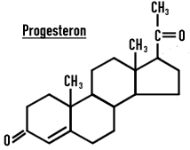 progesteron