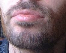 Baard