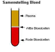 Bloedplasma Bloedplasma